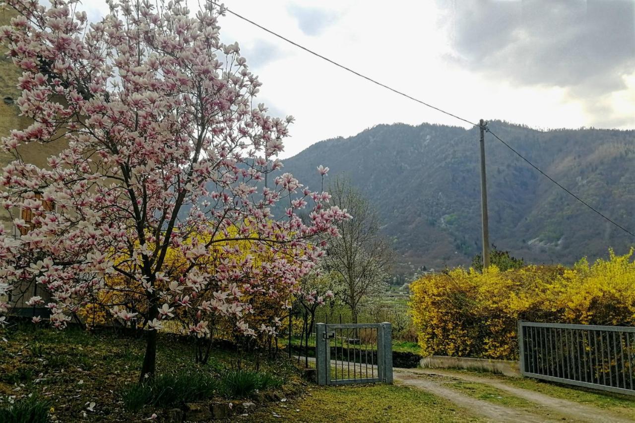 Maso Daue Chalet Marter