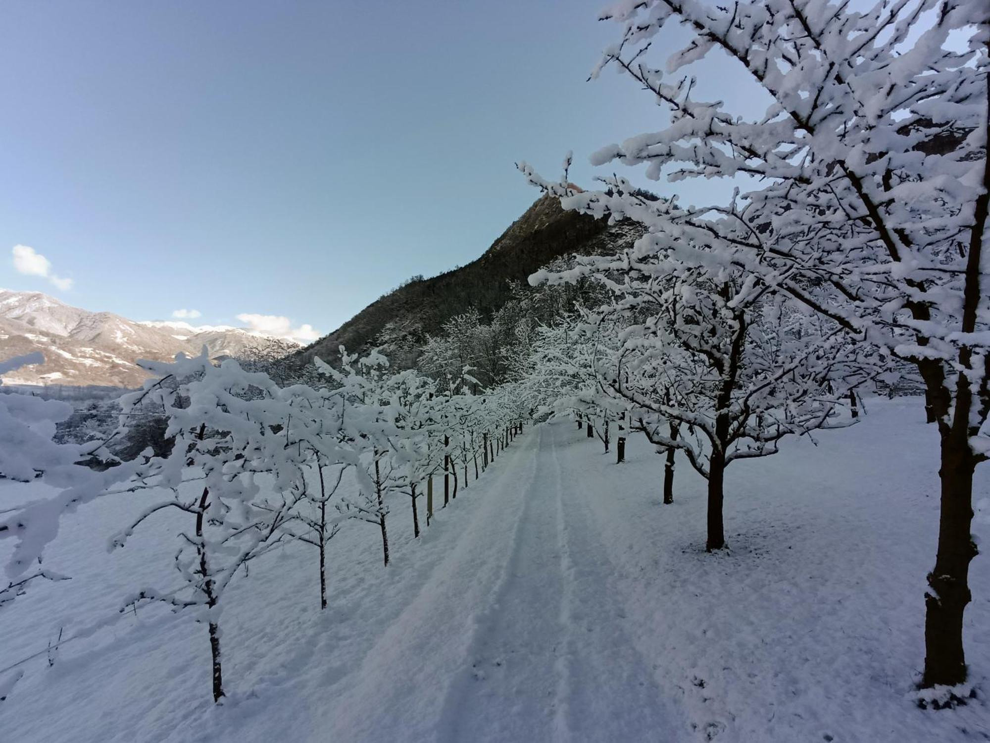 Chalet Maso Daue Marter